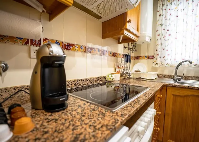 Exotic & Modern Beachside Paradise In Oropesa